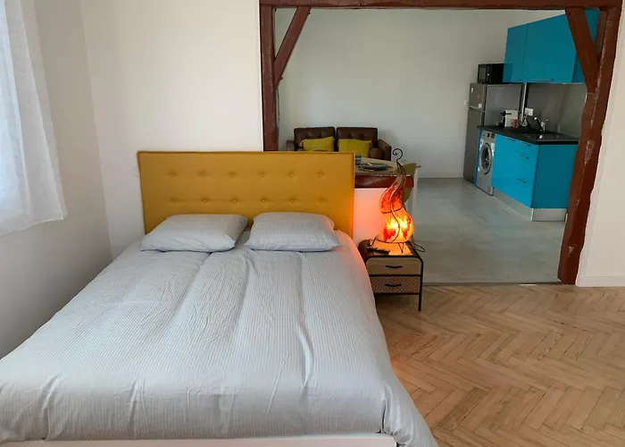 In - T2 Saint Martin Du Touch דירה טולוז